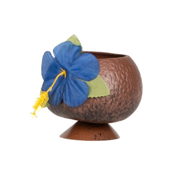 Coupe noix de coco tropicale