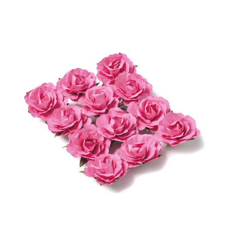 Lot de 12 Roses fuschia