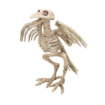 Décoration squelette de corbeau