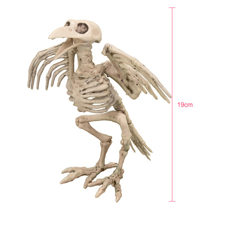Décoration squelette de corbeau