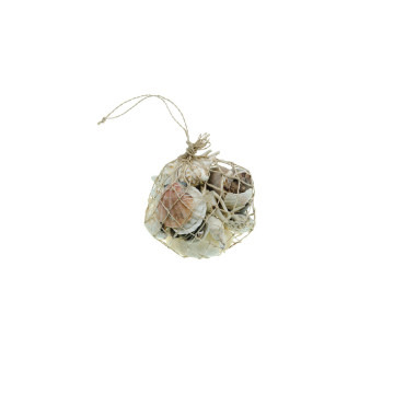 Sachet de Coquillages des îles 350 gr
