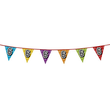 Guirlande fanions holographiques 6 ans- 8m