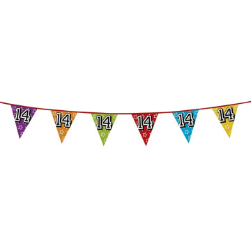 Guirlande fanions holographiques 14 ans- 8m