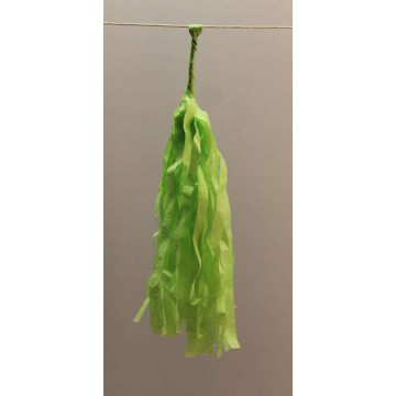 Guirlande Tassel 5 pompons vert pomme