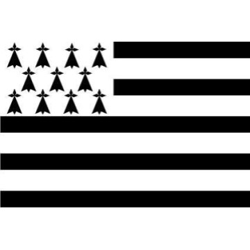 Lot de 10 Drapeau de Bretagne 20 x 30 cm