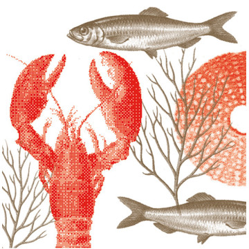 Lot de 20 serviettes intissée Lobster 40 x 40 cm