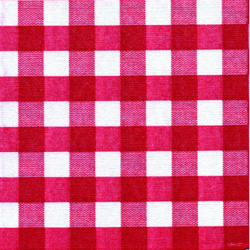 Lot de 20 serviettes intissée Bistrot rouge 40 x 40 cm