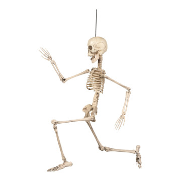 Squelette articulé à suspendre Halloween
