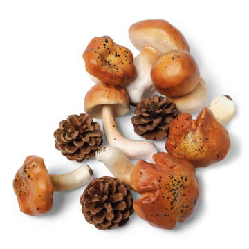 Lot de 9 champignons déco assortis + 5 pommes de pin 5/9 cm