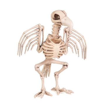 Squelette de corbeau beige Halloween 21 cm