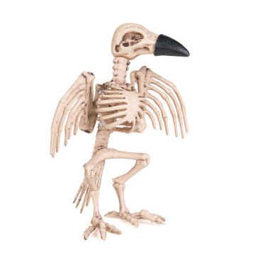 Squelette de corbeau beige bec noir Halloween 19 cm