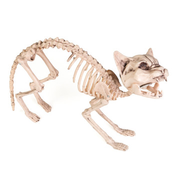 Squelette de chat beige Halloween 60 cm lumineux et sonore