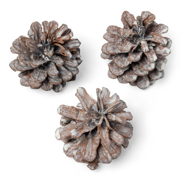 Lot de 12 pommes de pin cérusé 5 cm