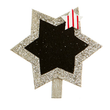 Lot de 6 Pinces Etoile argent