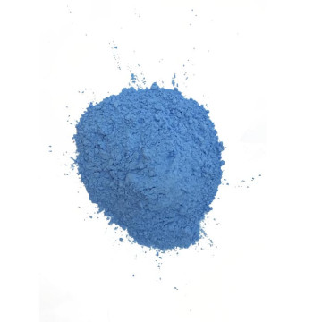 Poudre HOLI bleue 70 gr