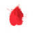 Poudre HOLI rouge 70 gr