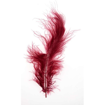 Sachet de plumes bordeaux 5g (50 plumes)