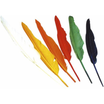 Lot de 12 plumes d'indien assorties