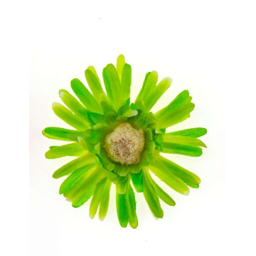 Sachet de 4 fleurs gerberas vertes