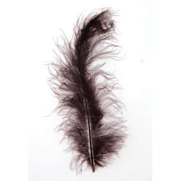Sachet de plumes chocolat 5g (50 plumes)