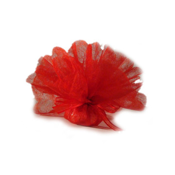 Lot de 10 ronds de tulle ver à soie rouge