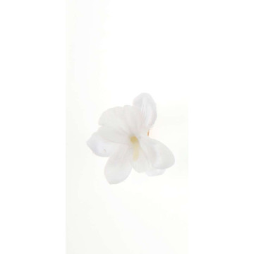 Sachet de 6 orchidées blanches sur pince