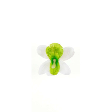 Sachet de 6 orchidées vert anis sur pince