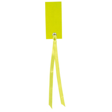 Sachet de12 marque-places en carton avec ruban vert anis