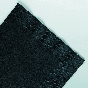 Serviettes noire en papier ouate 2 plis 25x25 cm AVA