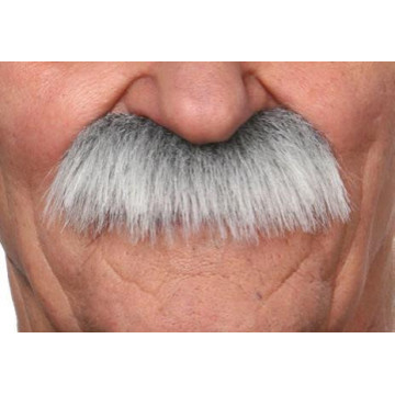 Moustache Brosse grise