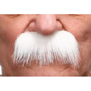Moustache brosse blanche