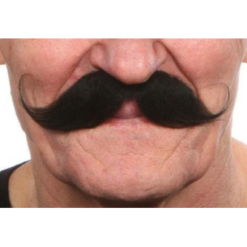 Moustache Guillaume noire