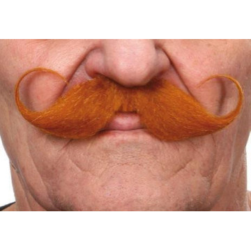 Moustache Guillaume rousse