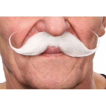 Moustache Guillaume blanche