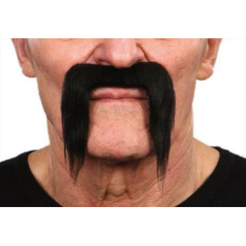Moustache pirate noire