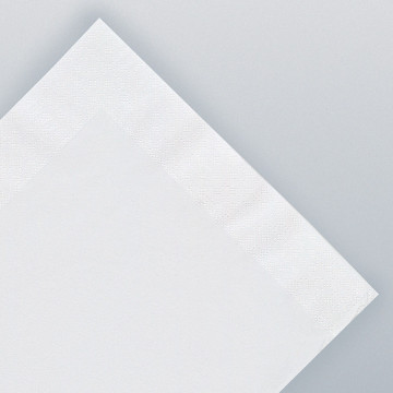 Serviettes blanches en papier ouate 2 plis 25 x 25 cm AVA