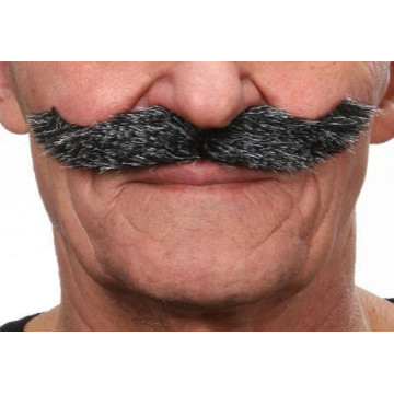 Moustache Hongroise poivre et sel