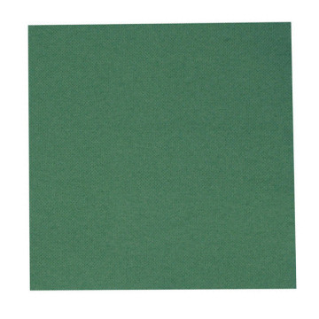 Lot de 50 serviettes jetables en papier vert sapin