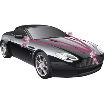 Kit de décoration de voiture fuschia 5 pièces