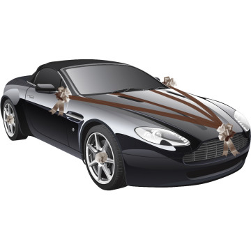 Kit de décoration de voiture choco 5 pièces