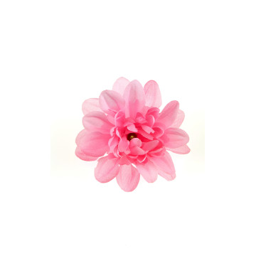 Lot de 4 dahlias roses