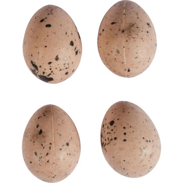 Lot de 6 œufs 4 cm