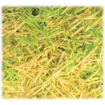 Sachet de 50 g de paille jaune et verte