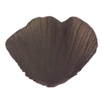 Boîte de 200 Pétales de rose chocolat en tissu